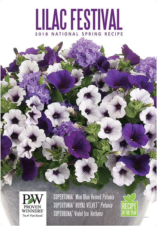 Merchandising Strategies Four Star Greenhouse